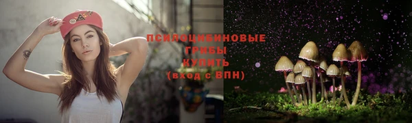 мдпв Нягань