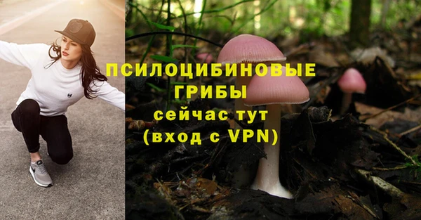 бутират Няндома