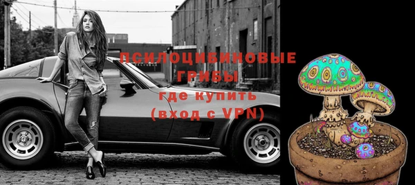 молекула духа Грязовец